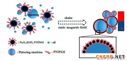 105658_201501221415531