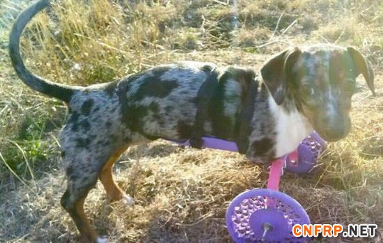 Cg-4WVTJl66IEleDAADI4oLpSX0AATN-gC0UiwAAMj6191