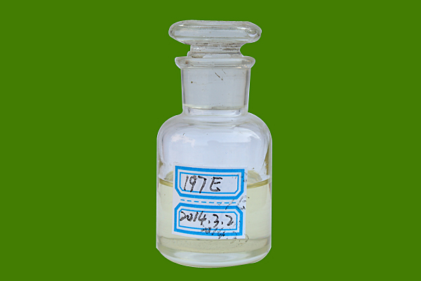 e55f5990-4853-43fb-b275-cbd178449dea