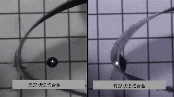 QQ图片20160729095358