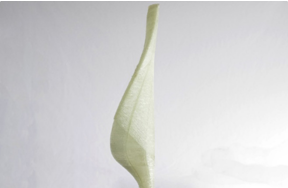 QQ截图20170502091514