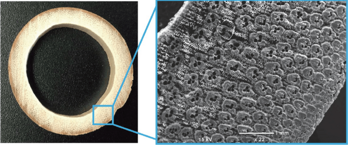QQ截图20170606164623