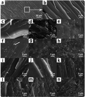 QQ截图20170607095221