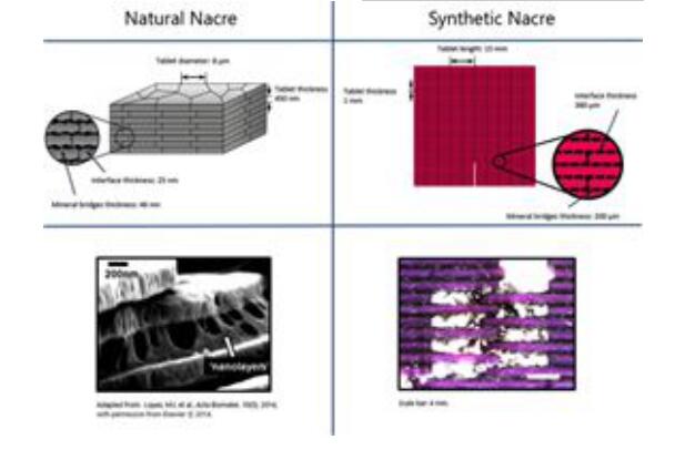 QQ截图20170612085142