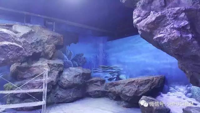 微信图片_20170707161021