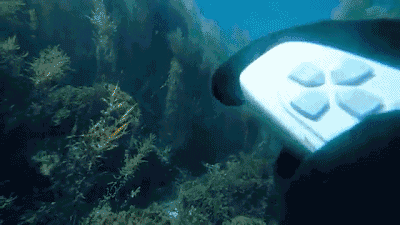 微信图片_20170913091249