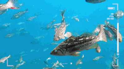 微信图片_20170913091305