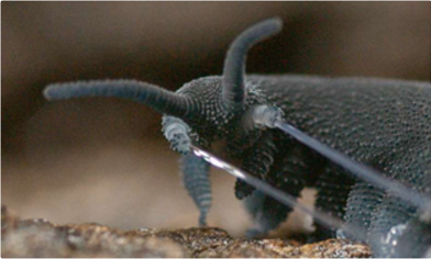 QQ截图20171023110336