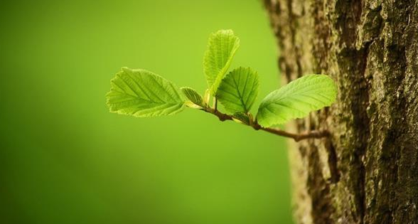 微信截图_20171208150628