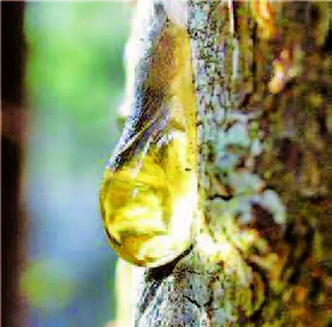 微信截图_20171215085638