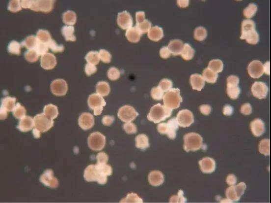 微信图片_20180512090447