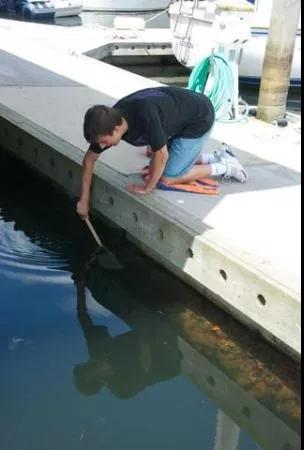 微信图片_20180530084323