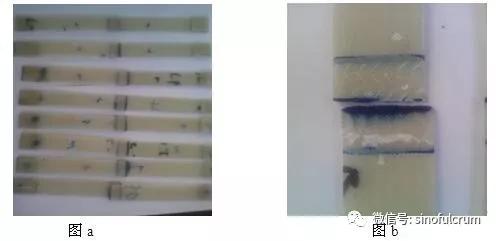 微信图片_20180622082823