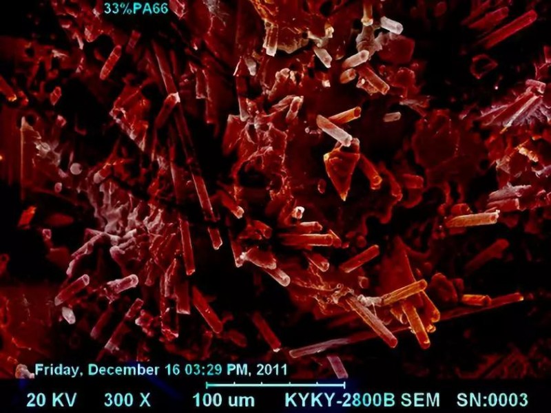 微信图片_20191015101709