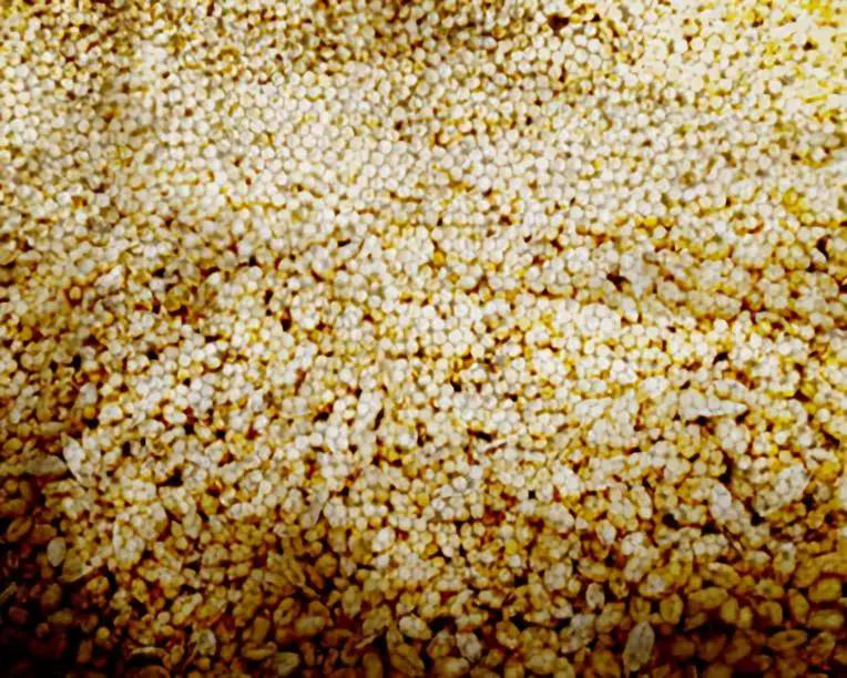 微信图片_20191015101716