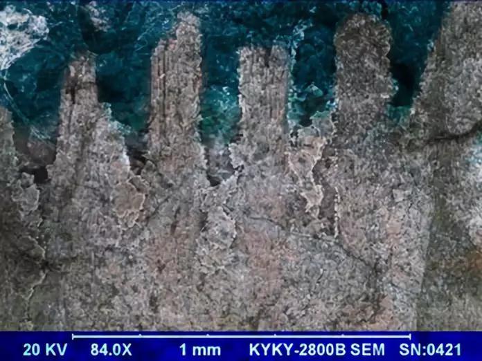 微信图片_20191015101719