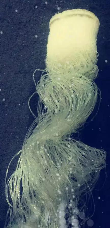 微信图片_20191015101723