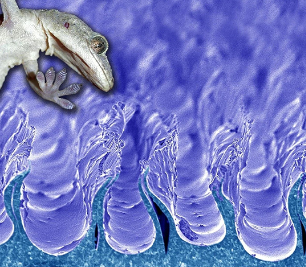 微信截图_20200630143522