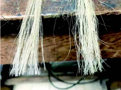 条1