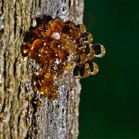 人造石、石英石树脂