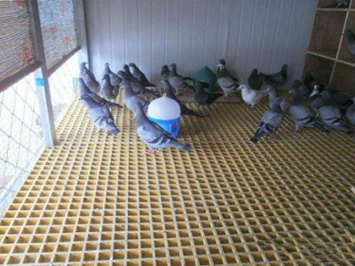 河北厂家直销 玻璃钢粪漏格栅图3