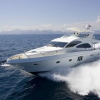 载体/胶衣基体树脂