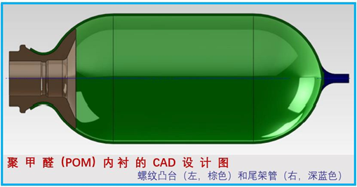 杨5