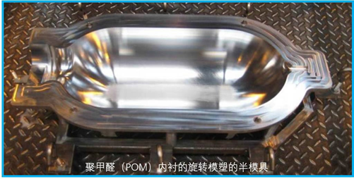 杨6
