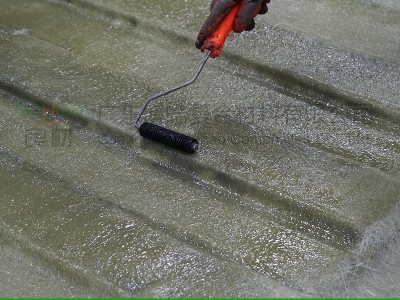 玻璃钢工具 4-6寸猪鬃滚压泡毛滚筒 手糊弹簧消泡辊筒刷图3