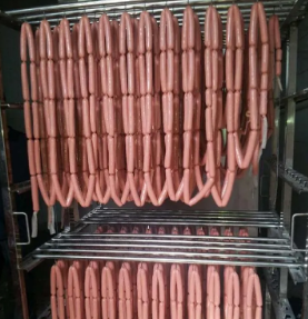 体育