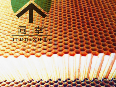 供应芳纶纸蜂窝 夹芯材料 复合材料 铝蜂窝 纸蜂窝供应图3