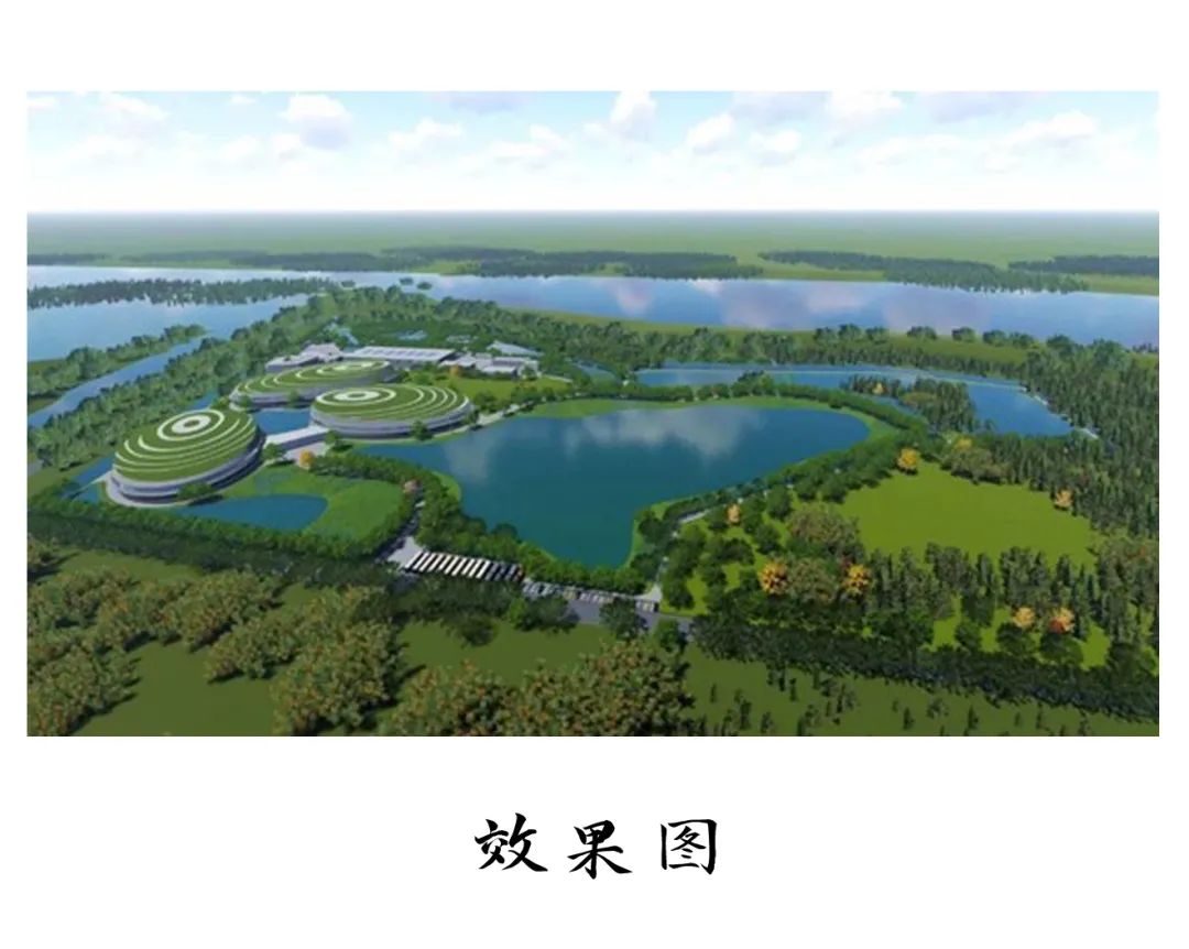 晨