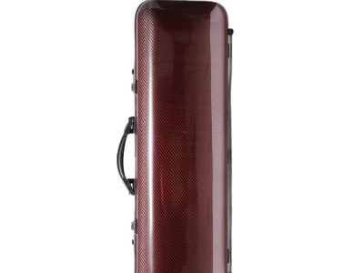 碳纤维乐器琴盒图4