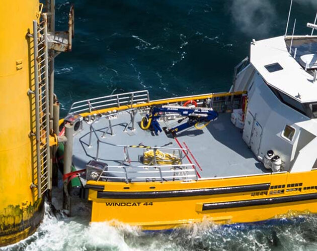 Windcat-630<i></i>x500