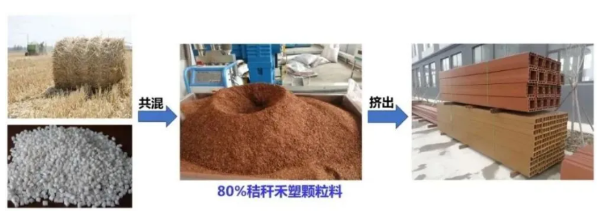 微信截图_20230308085734