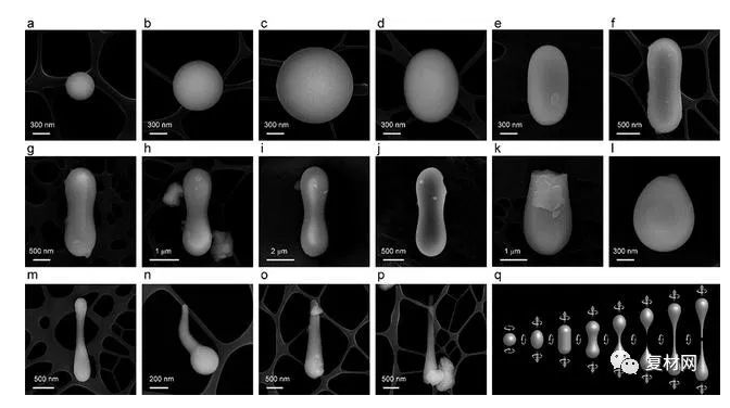 微信截图_20230508153929