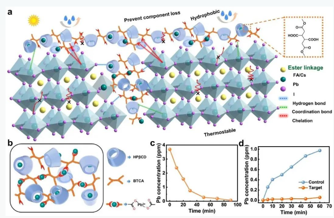 微信截图_20230808145435